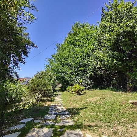 Il Salice Bianco B&B Casa Vacanze 卡拉拉 外观 照片