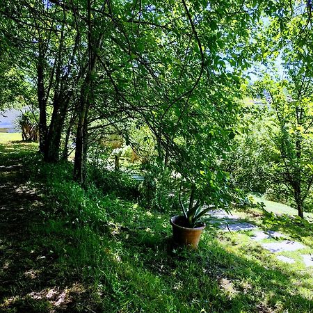 Il Salice Bianco B&B Casa Vacanze 卡拉拉 外观 照片