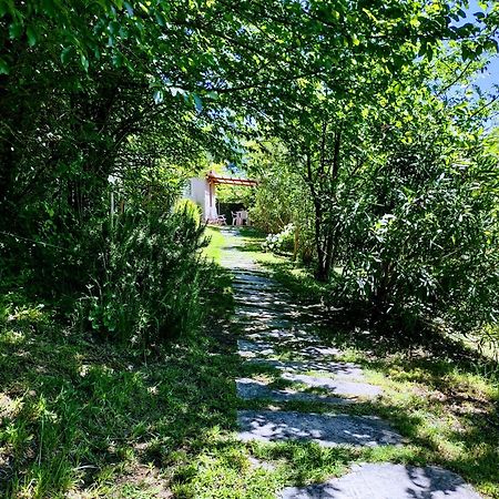 Il Salice Bianco B&B Casa Vacanze 卡拉拉 外观 照片