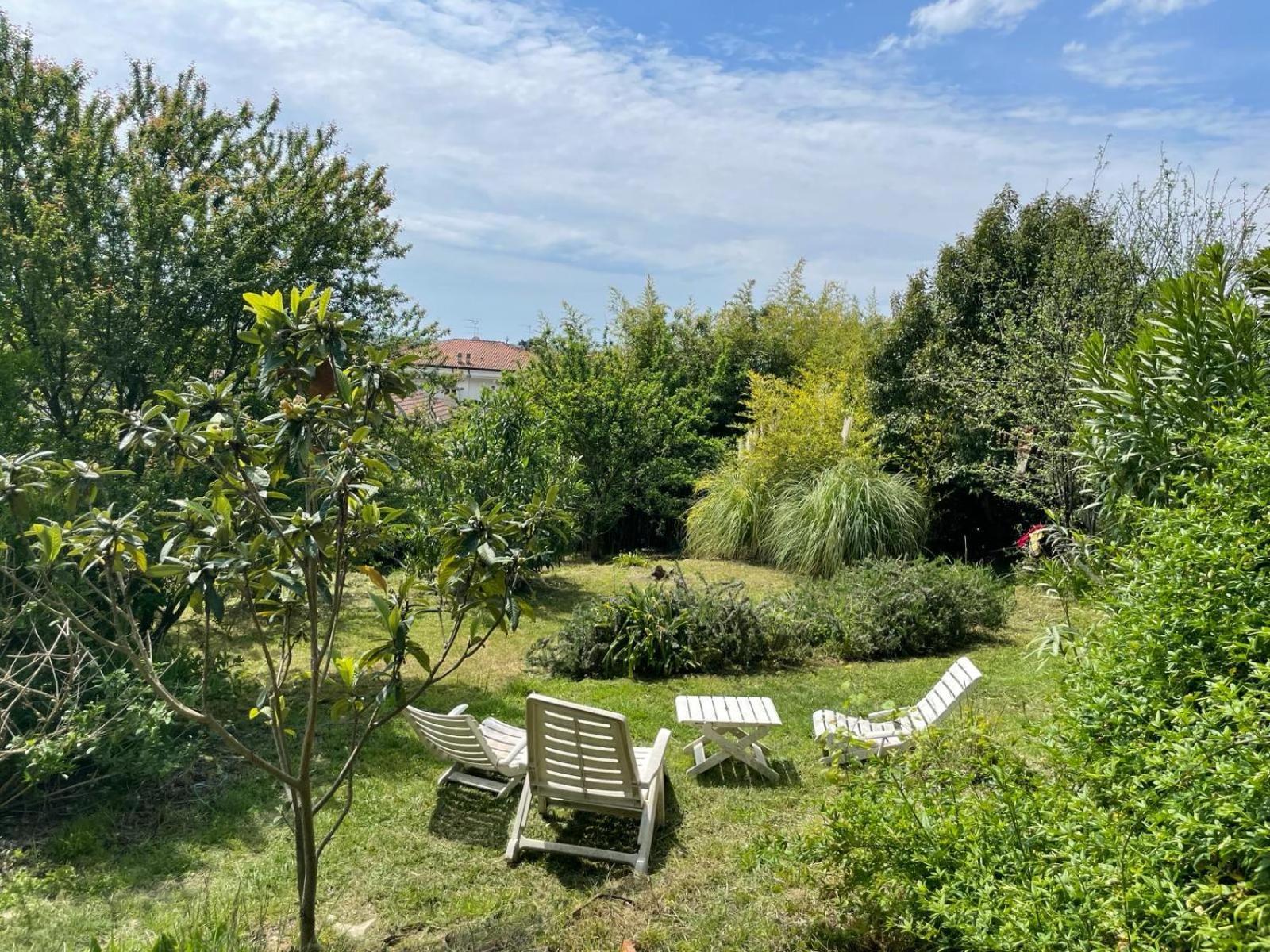 Il Salice Bianco B&B Casa Vacanze 卡拉拉 外观 照片