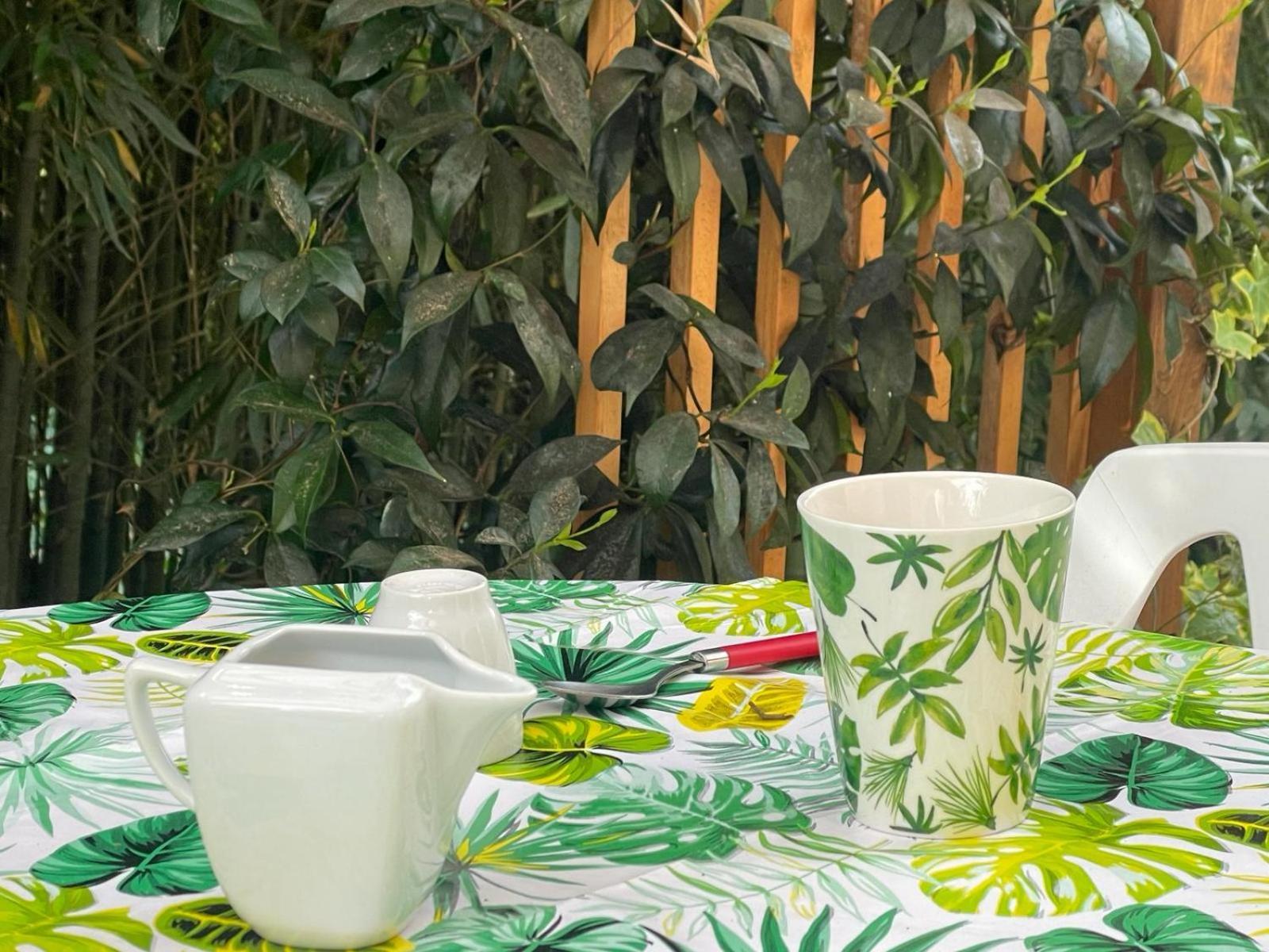 Il Salice Bianco B&B Casa Vacanze 卡拉拉 外观 照片