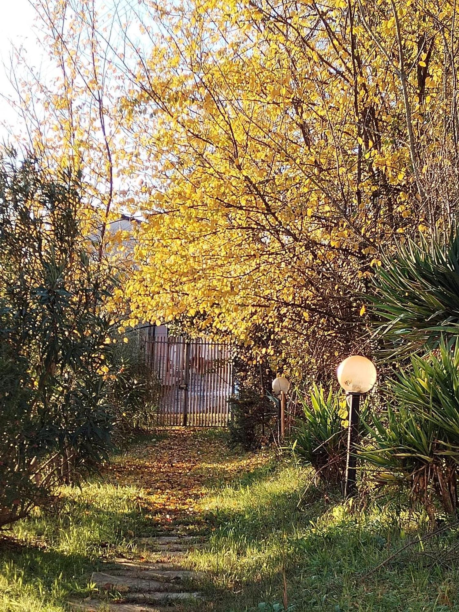 Il Salice Bianco B&B Casa Vacanze 卡拉拉 外观 照片