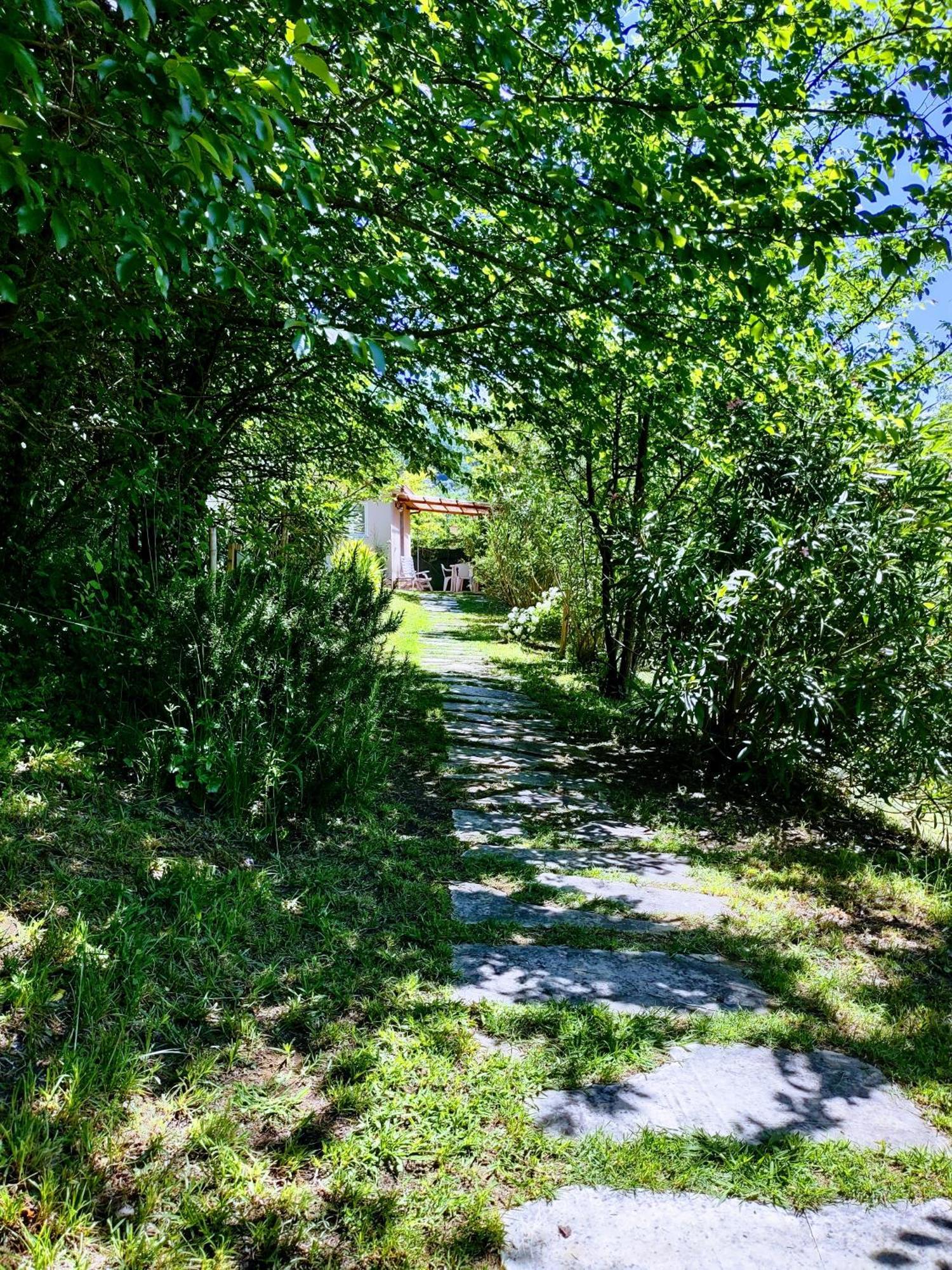 Il Salice Bianco B&B Casa Vacanze 卡拉拉 外观 照片